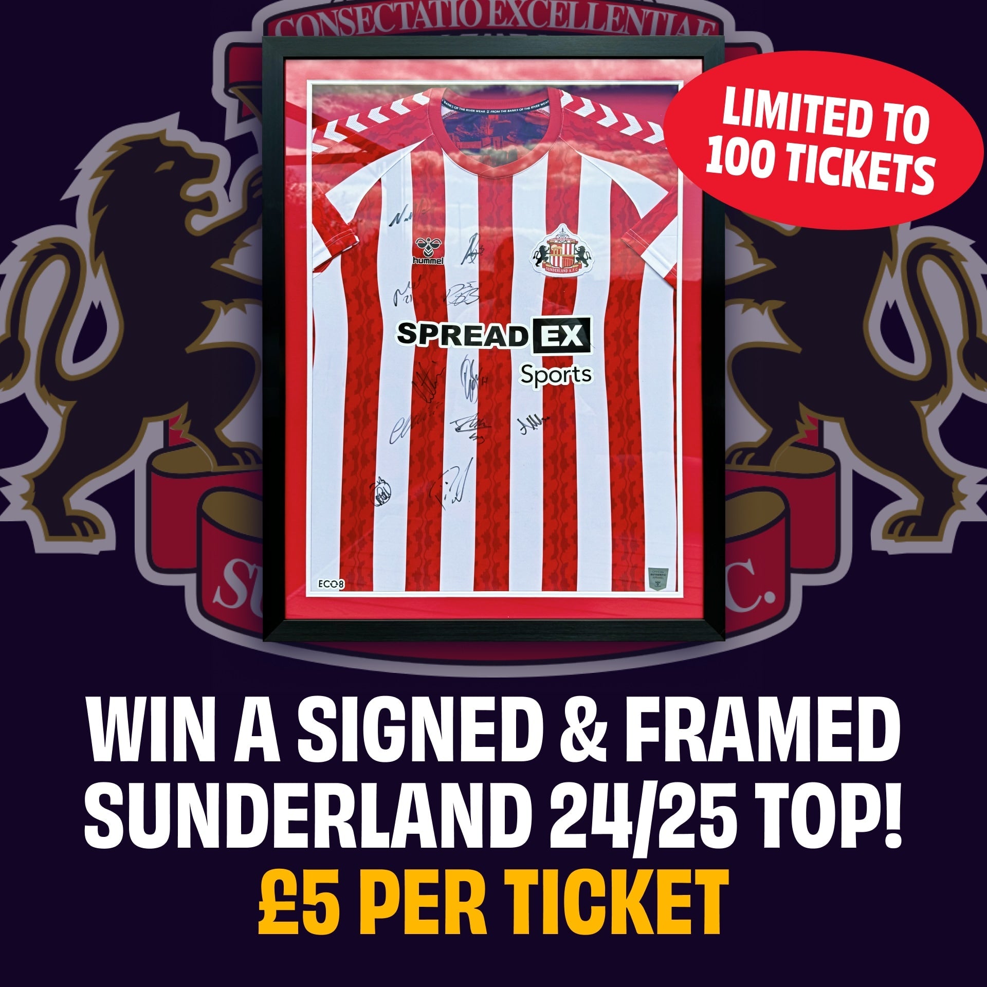 Win a Signed & Framed Sunderland 24/25 Shirt – Raffle Ticket - Louie's Trust